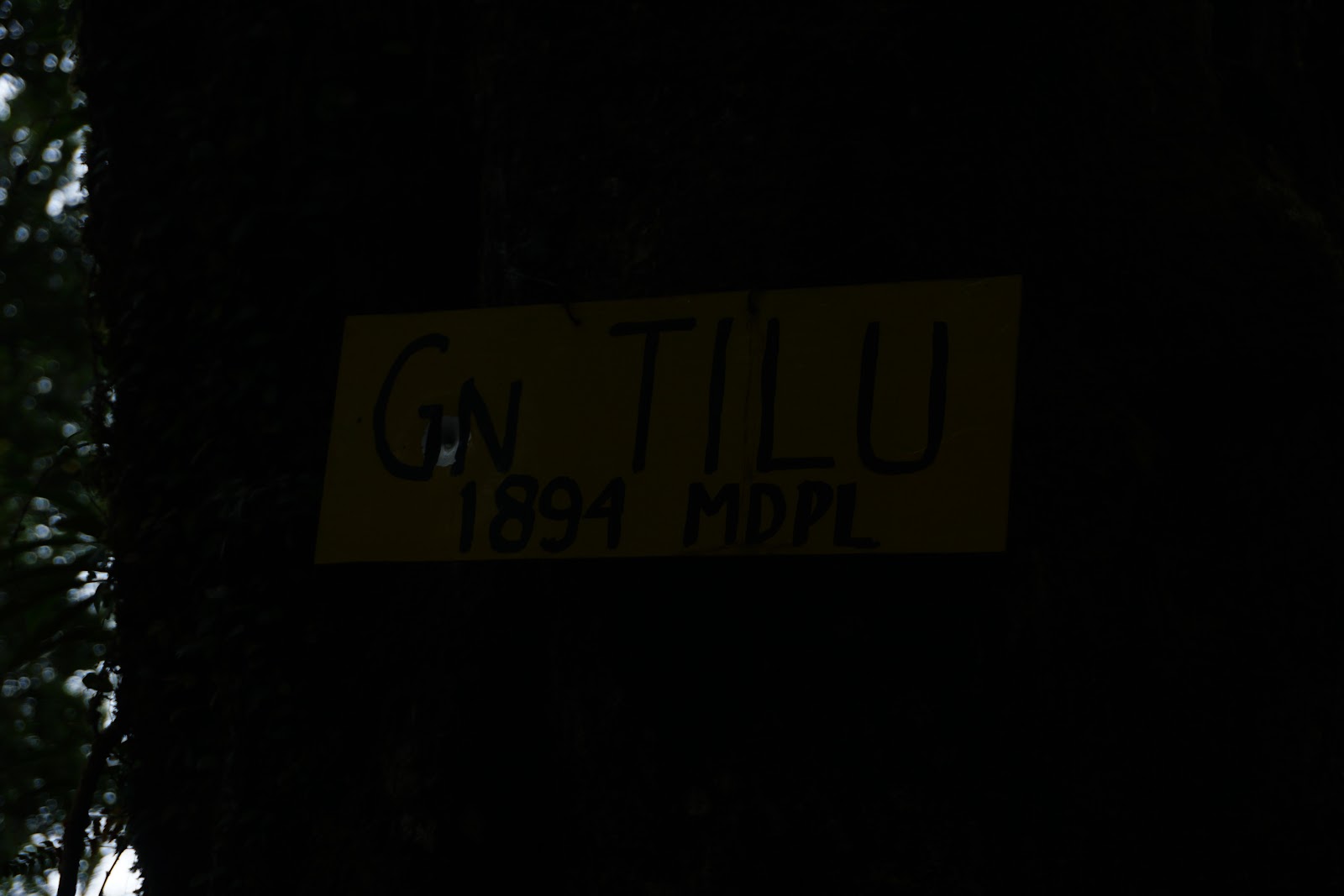 DSC08080.JPG