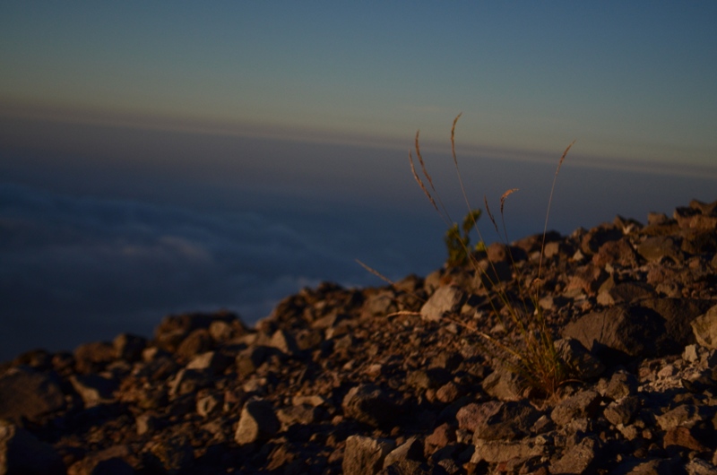 DSC_0094.JPG