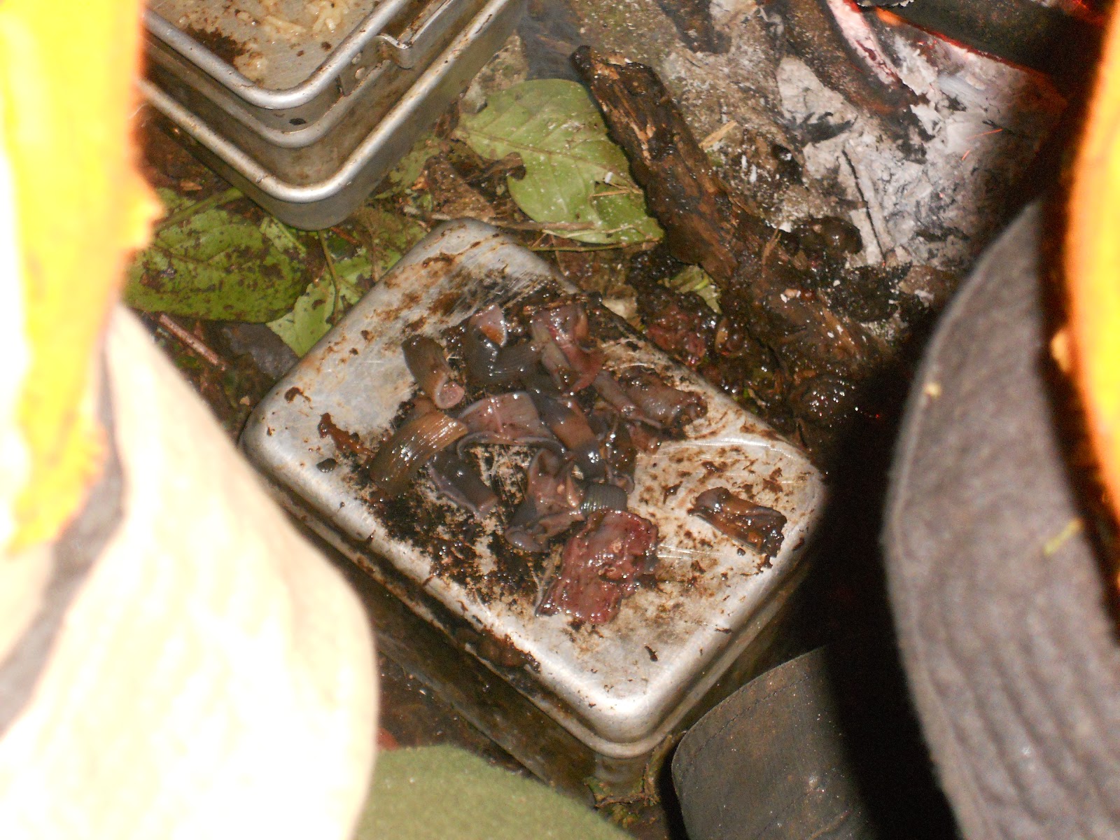 DSCN1535.JPG