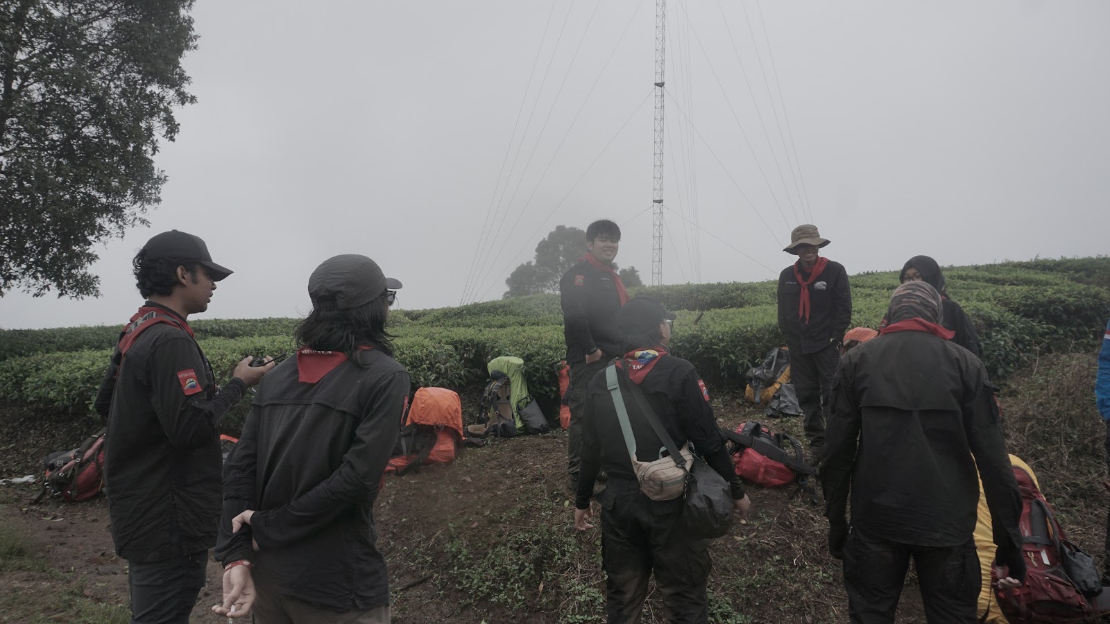 DSC08945.JPG