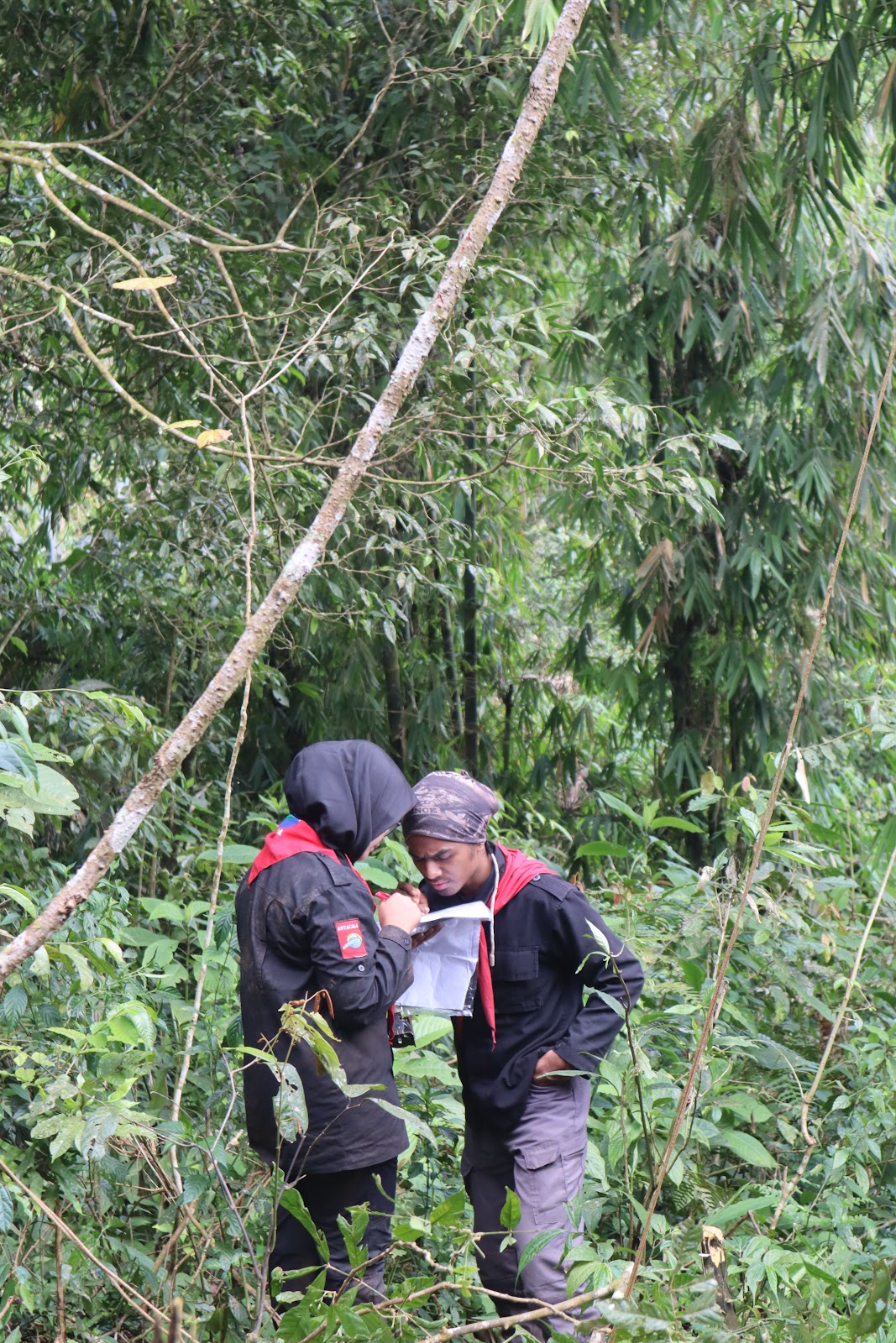 IMG_4686.JPG