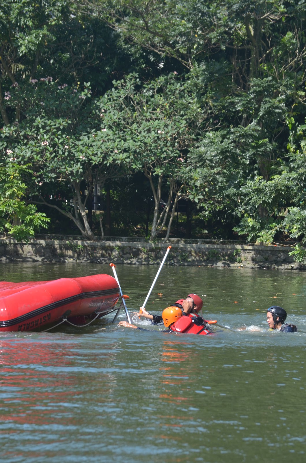 DSC_7236.JPG