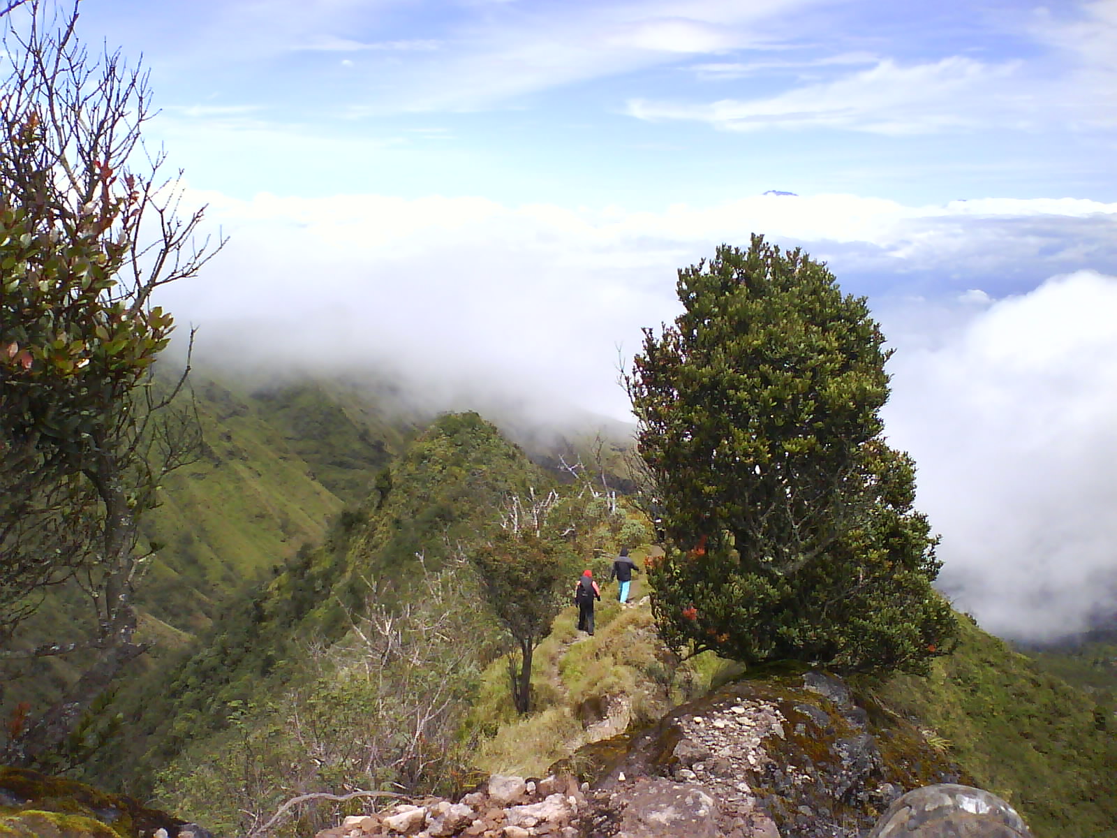 DSC01665.JPG