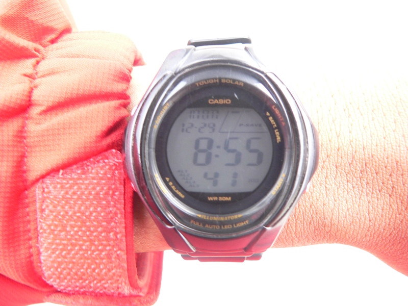 P1100914.JPG