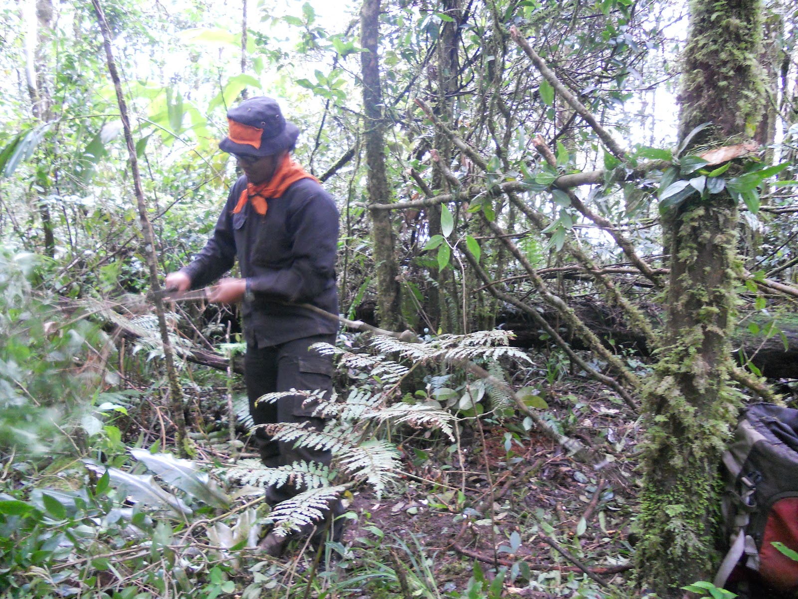DSCN1443.JPG