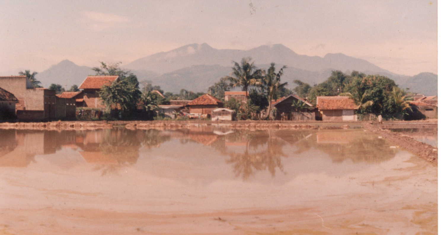 malabar9602.jpg