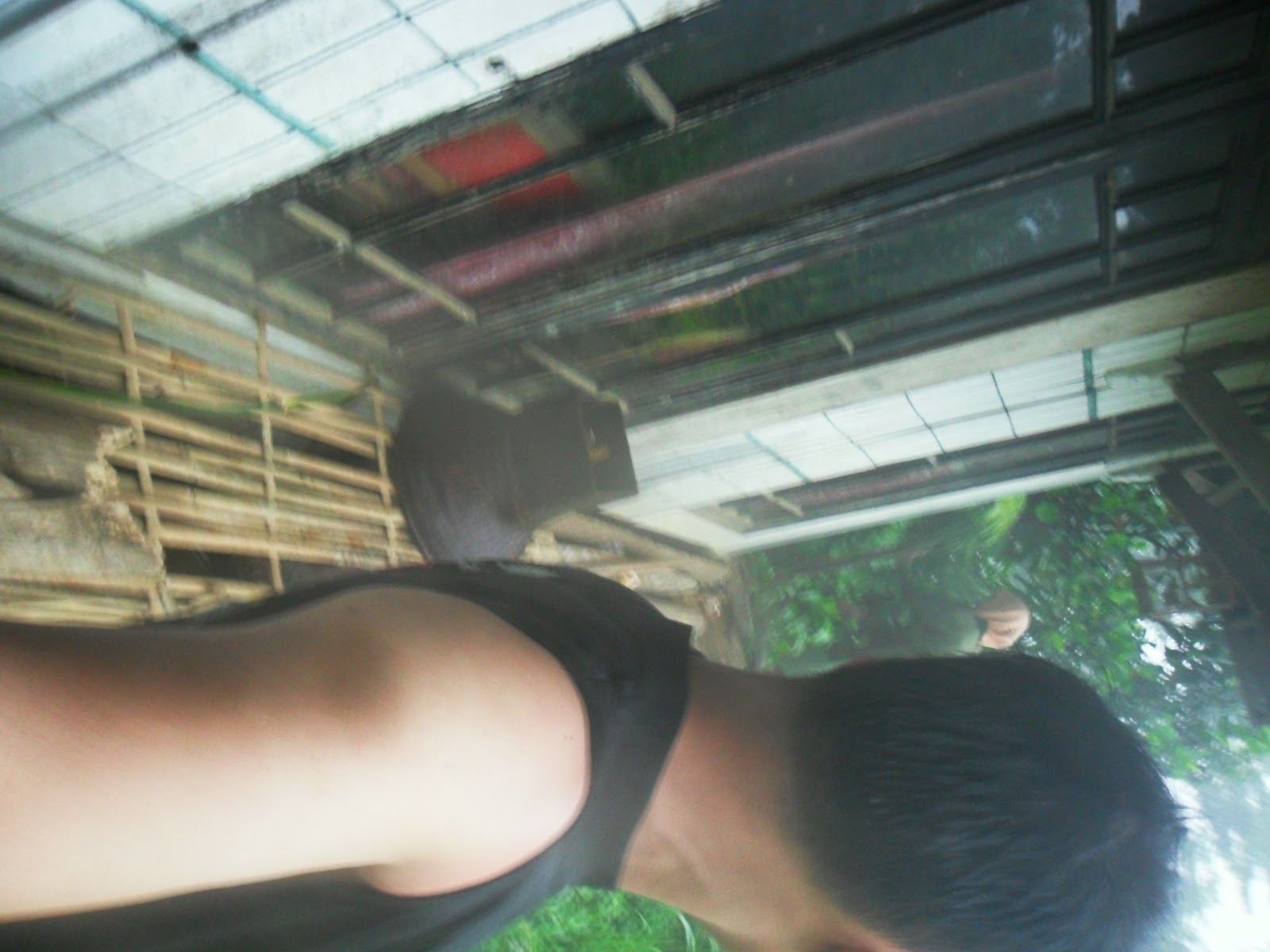 SAM_0700.JPG