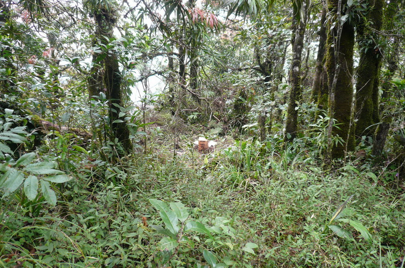 P1040745.JPG
