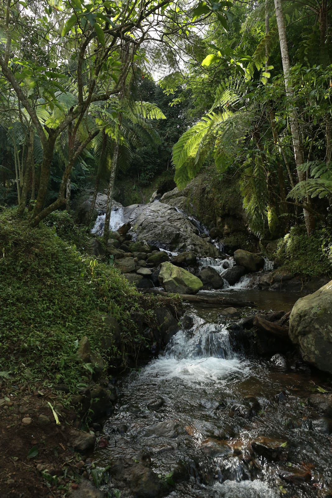 333A8395.JPG