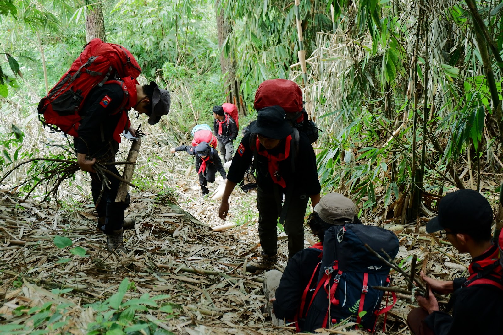 DSCF6479.JPG
