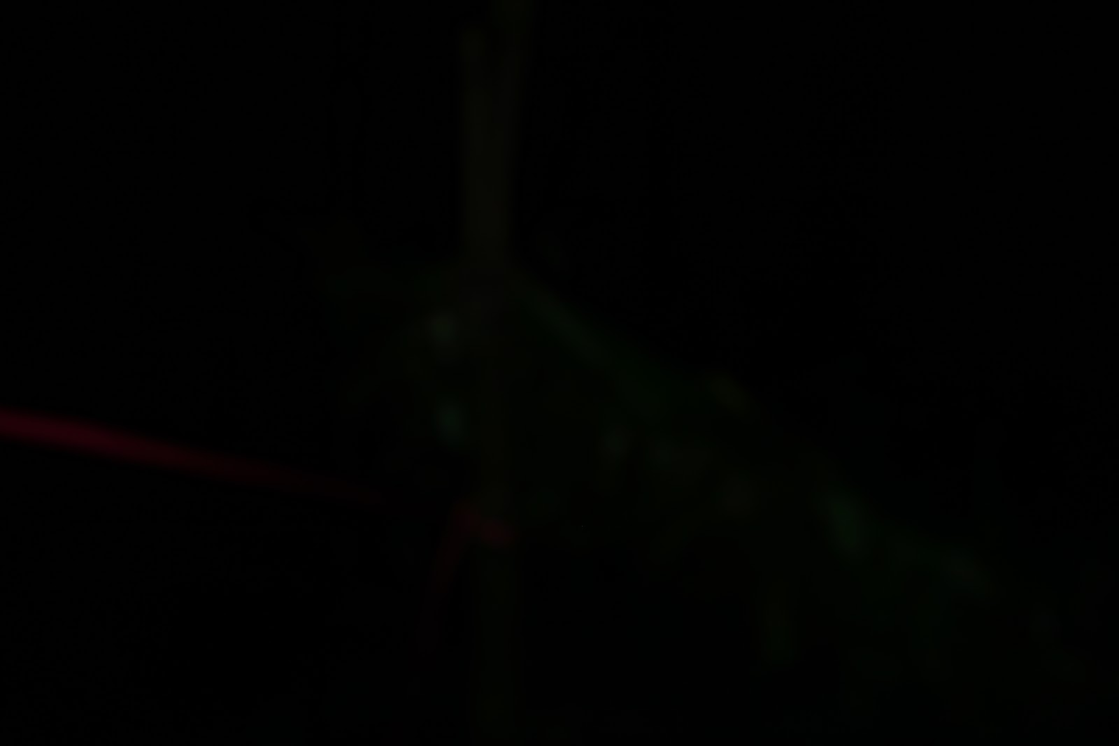 DSC07913.JPG