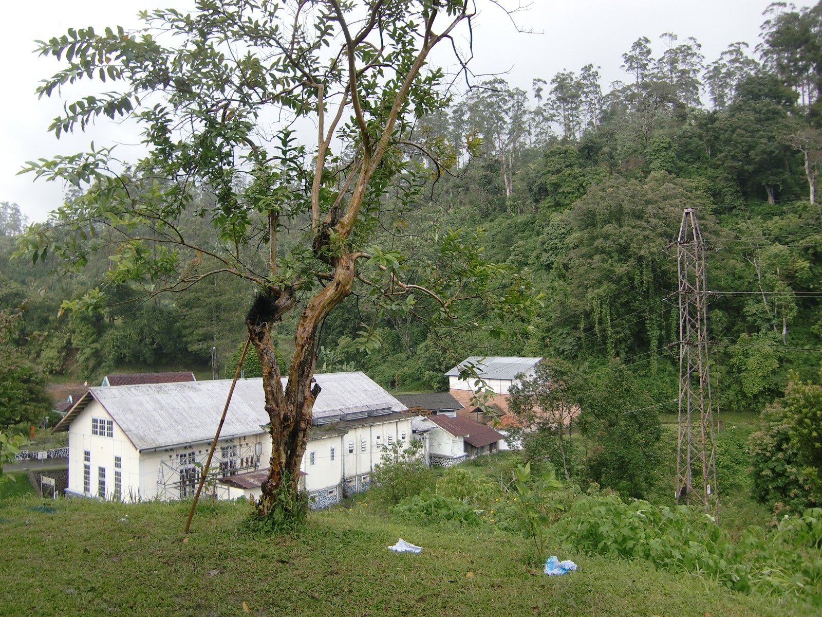 CIMG3085.JPG