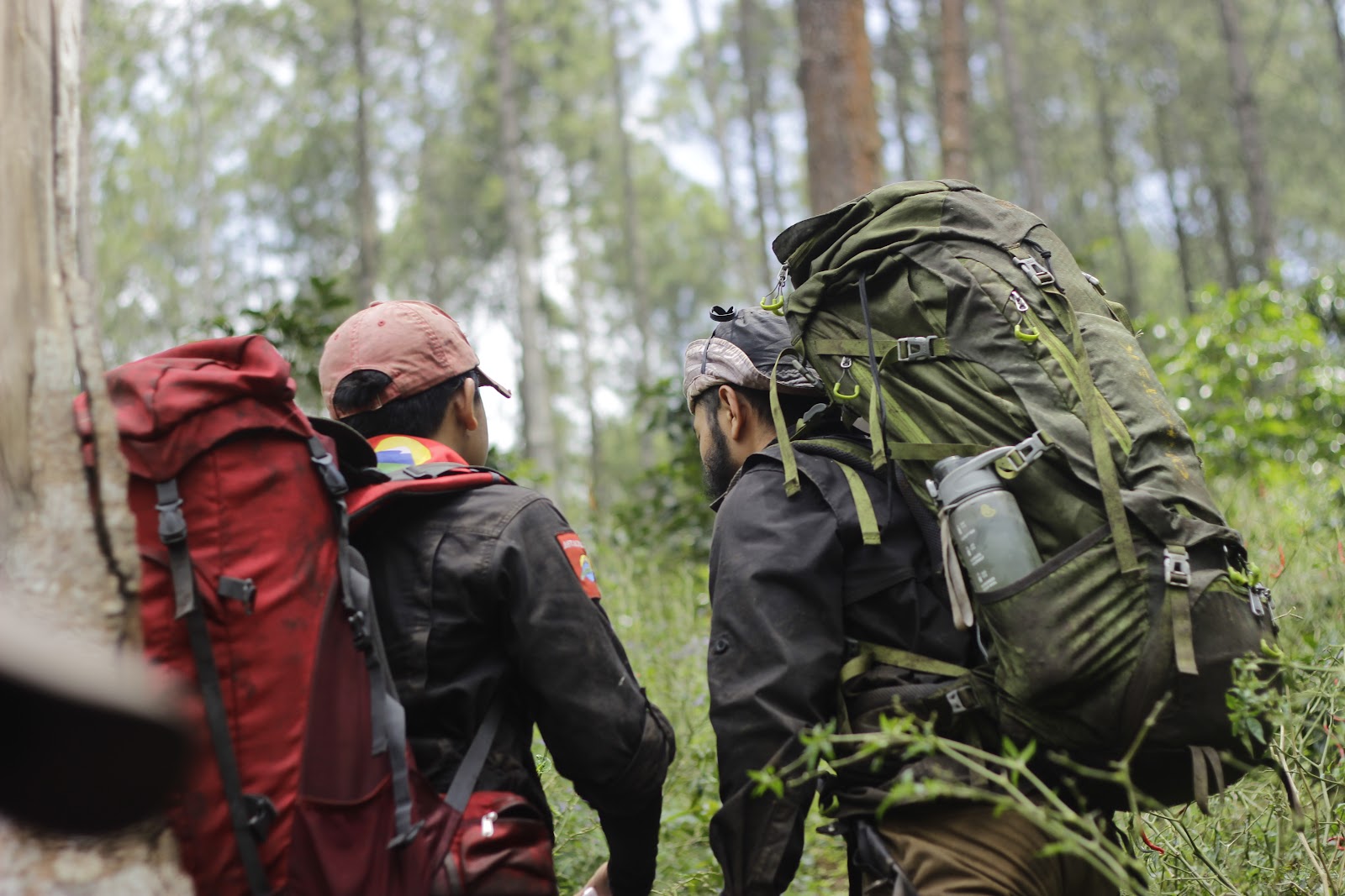 _MG_6655.JPG