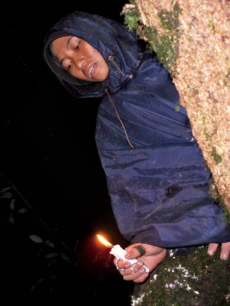 100_2415.JPG