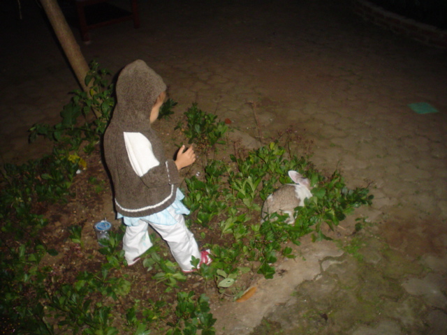 Nikahan Ewok - 049.JPG