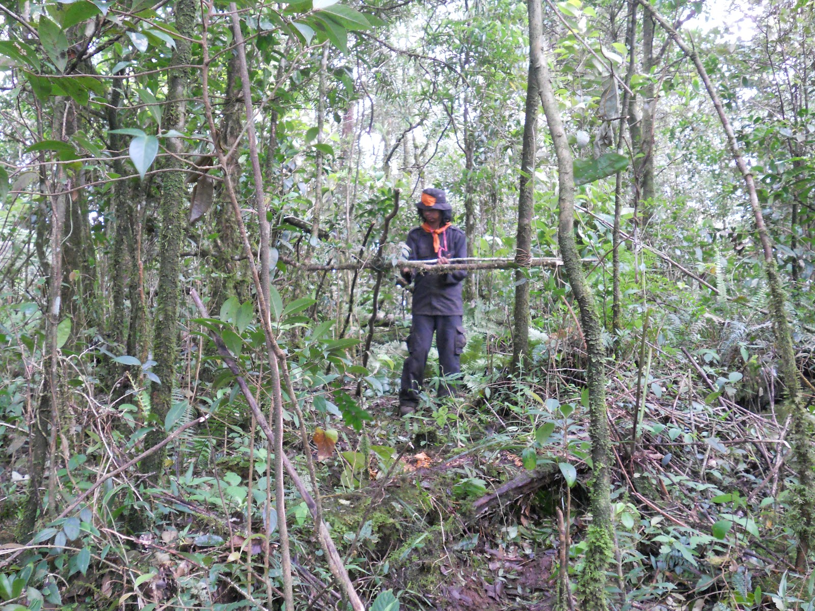 DSCN1464.JPG
