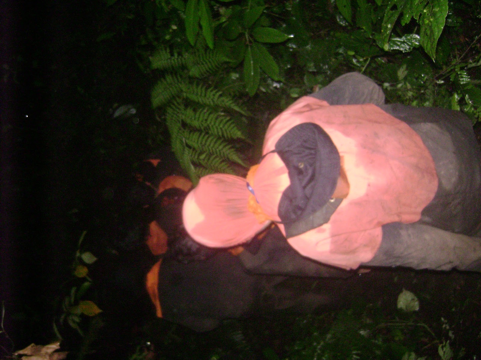 DSC09872.JPG
