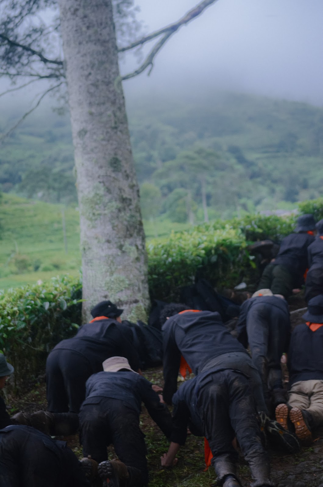 Mountaineering Course-130.jpg