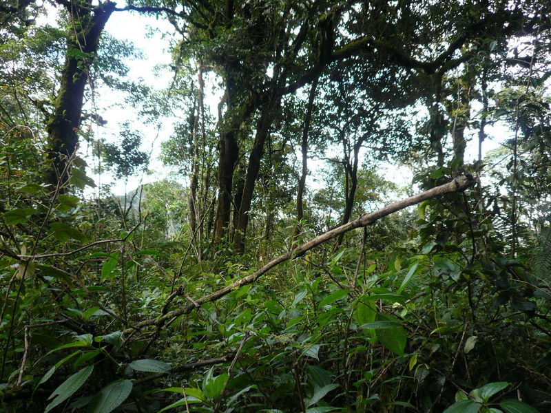 P1040735.JPG