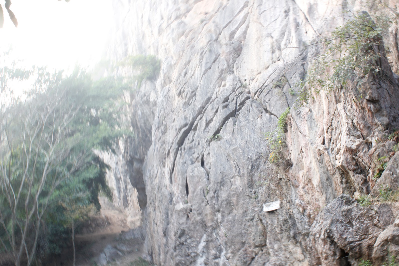_MG_8875.JPG