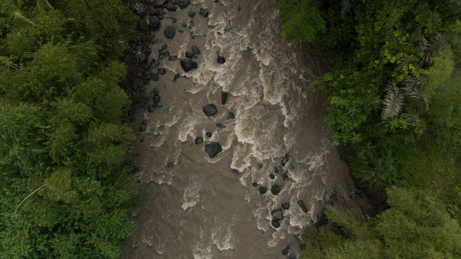dji_fly_20260516_092016_0275_1778949553171_photo.DNG