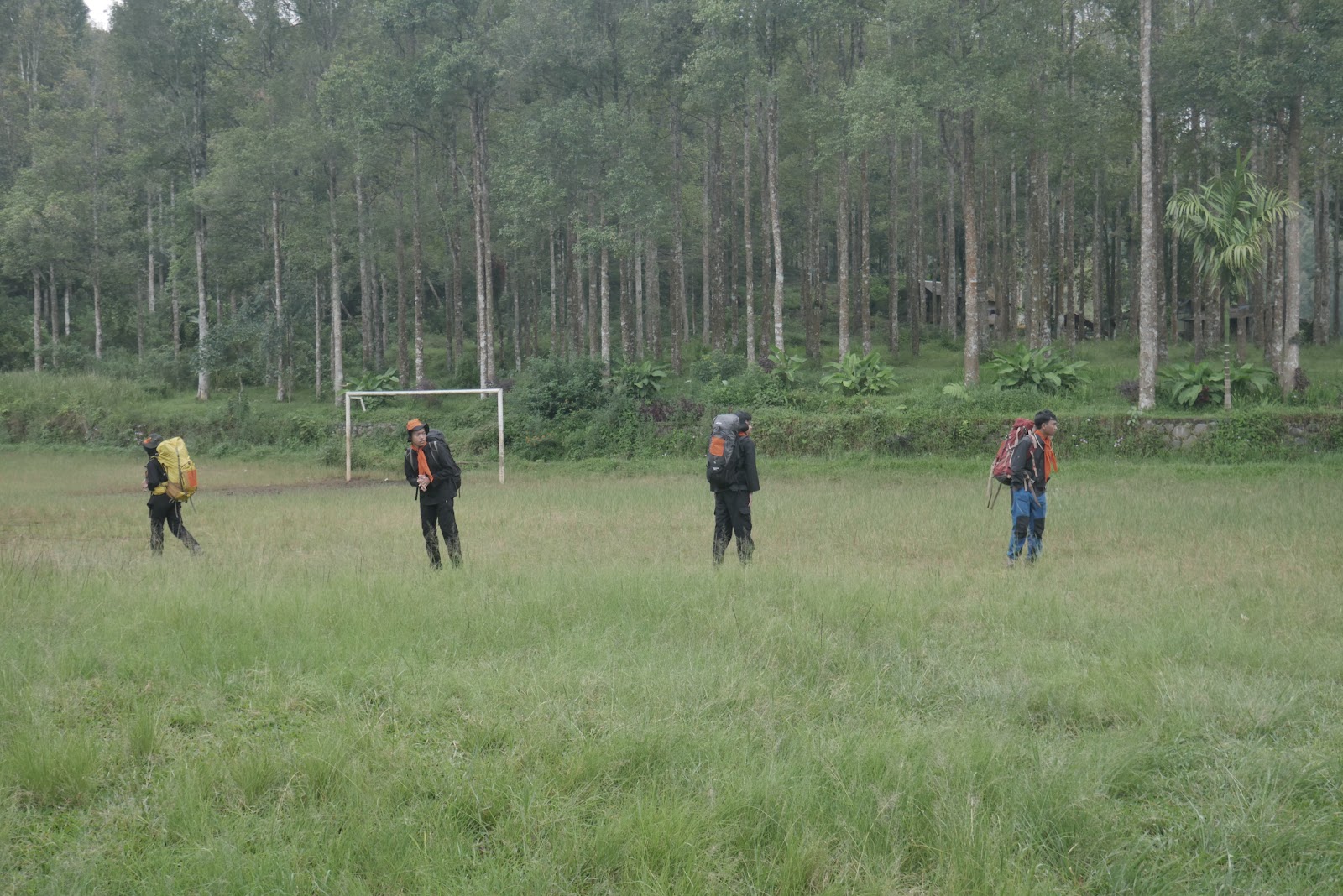 P2070434.JPG