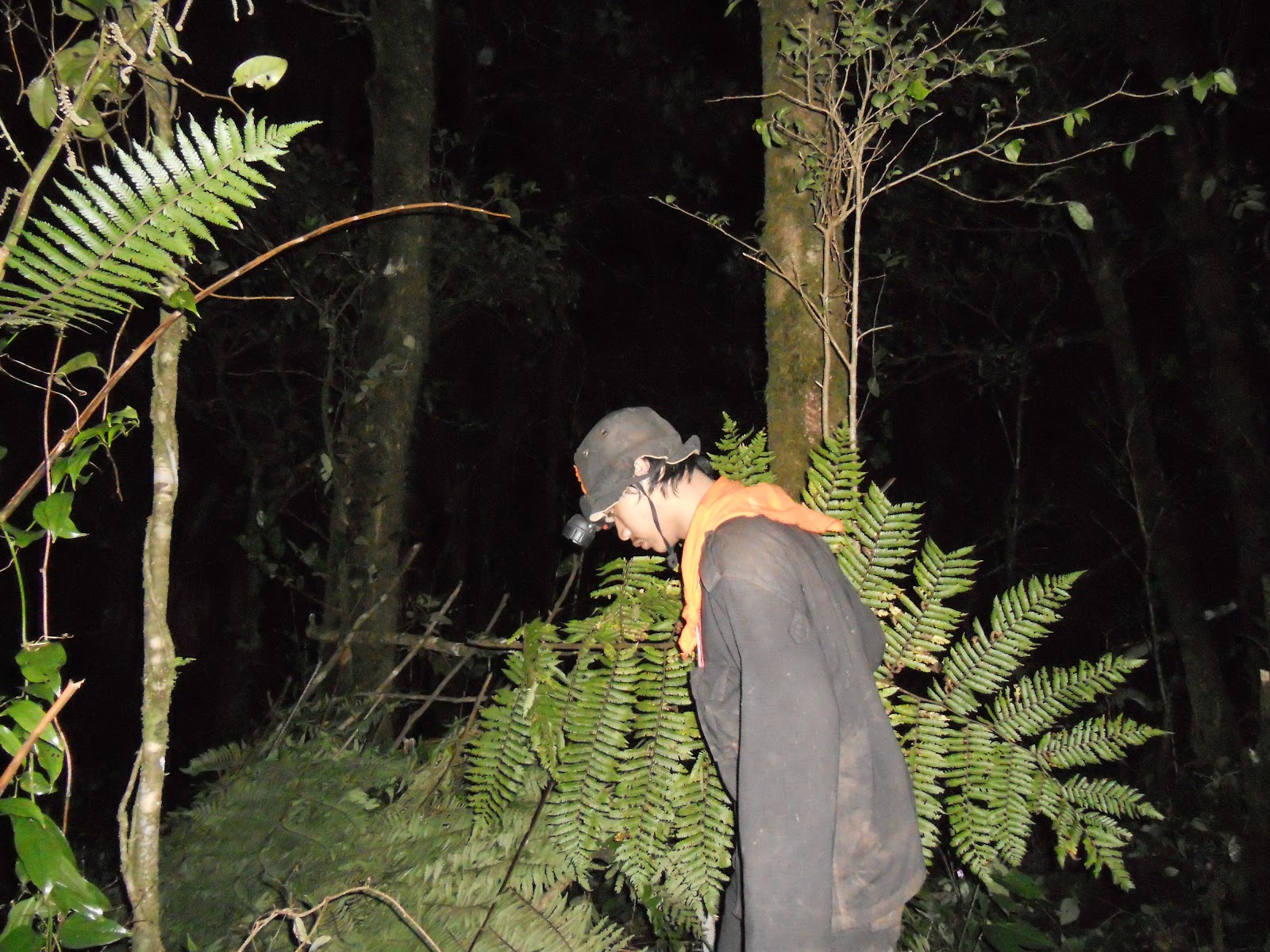 DSCN1518.JPG
