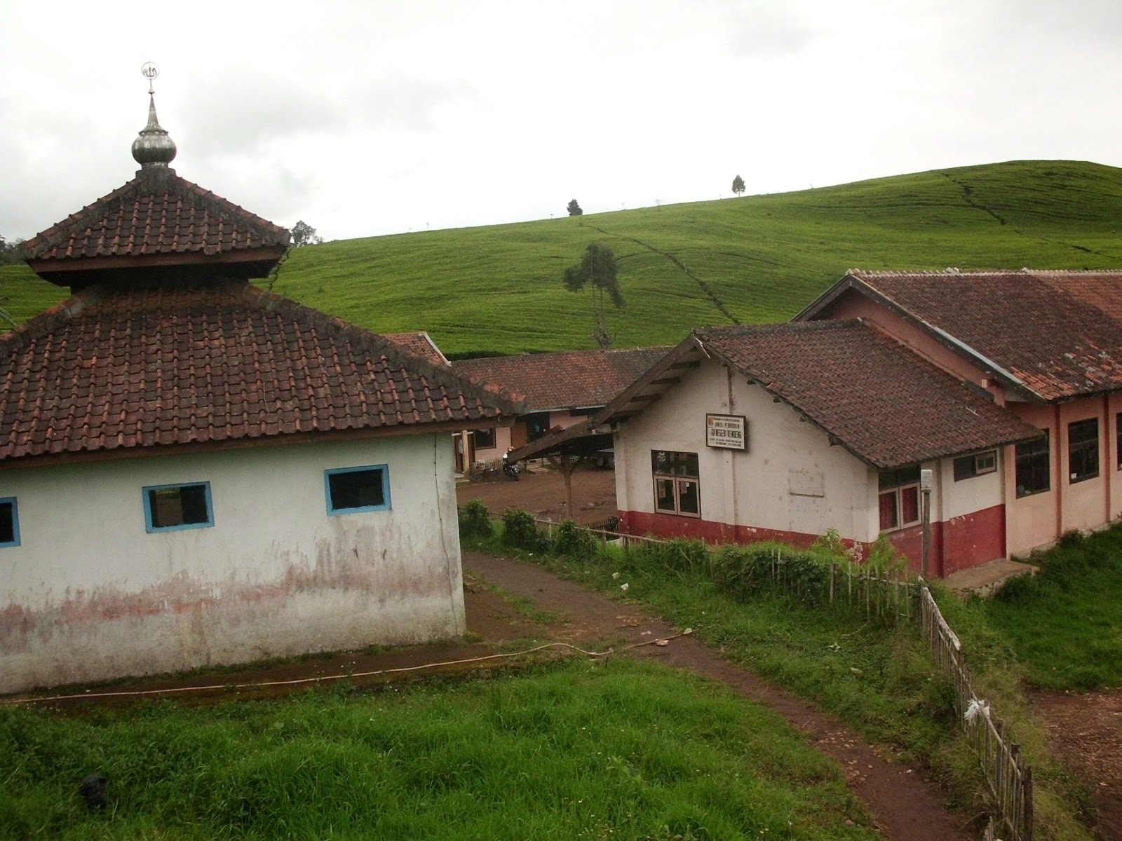 CIMG7425.JPG