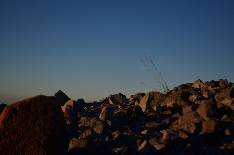 DSC_0093.JPG