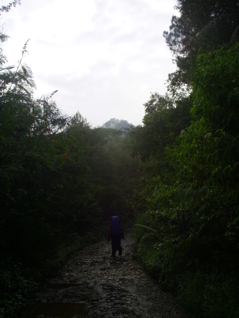 Survey PDA XIV Gunung Hutan dan SAR - 101.JPG