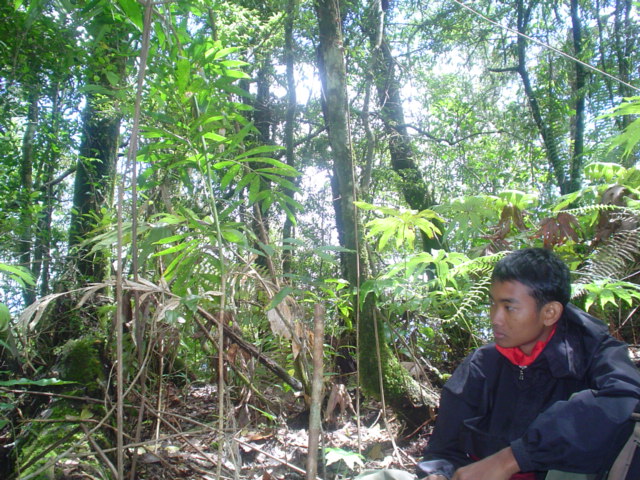DSC00495.JPG
