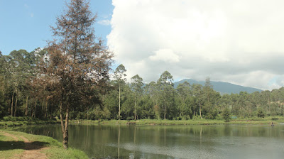 Cisanti OP 1_170511_0147.jpg