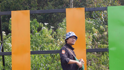 DSCN8195.JPG