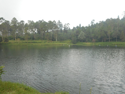 DSCN0471.JPG