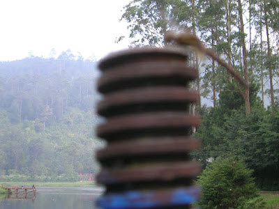 DSCN7305.JPG