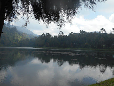 DSCN0467.JPG