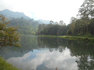 DSCN0464.JPG
