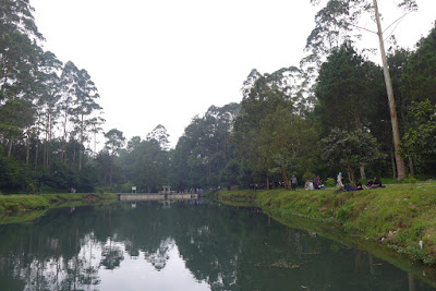P1150631.JPG