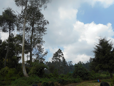 DSCN0466.JPG