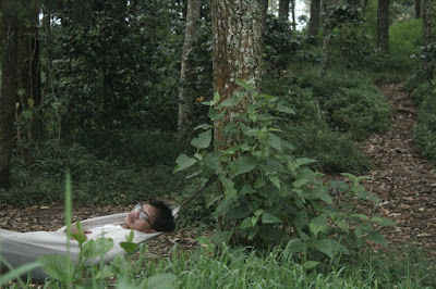 Cisanti OP 1_170511_0040.jpg