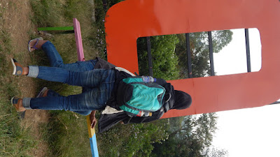 DSCN8231.JPG