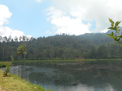 DSCN0465.JPG