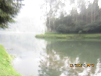 IMG_2700.JPG