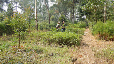 DSCN8116.JPG