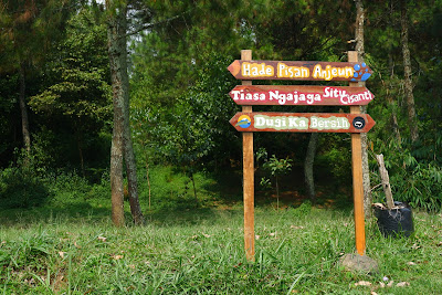 DSCF4765.JPG