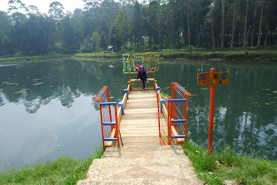 DSCF4773.JPG