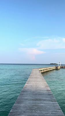 IMG_2680.MOV