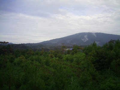 S3020118.JPG