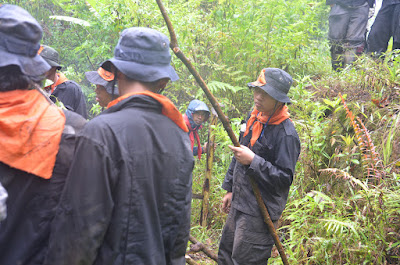 Sampul folder 3 Survival