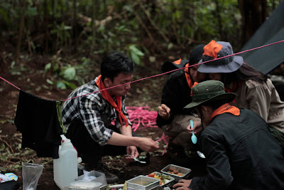 _MG_0008.JPG